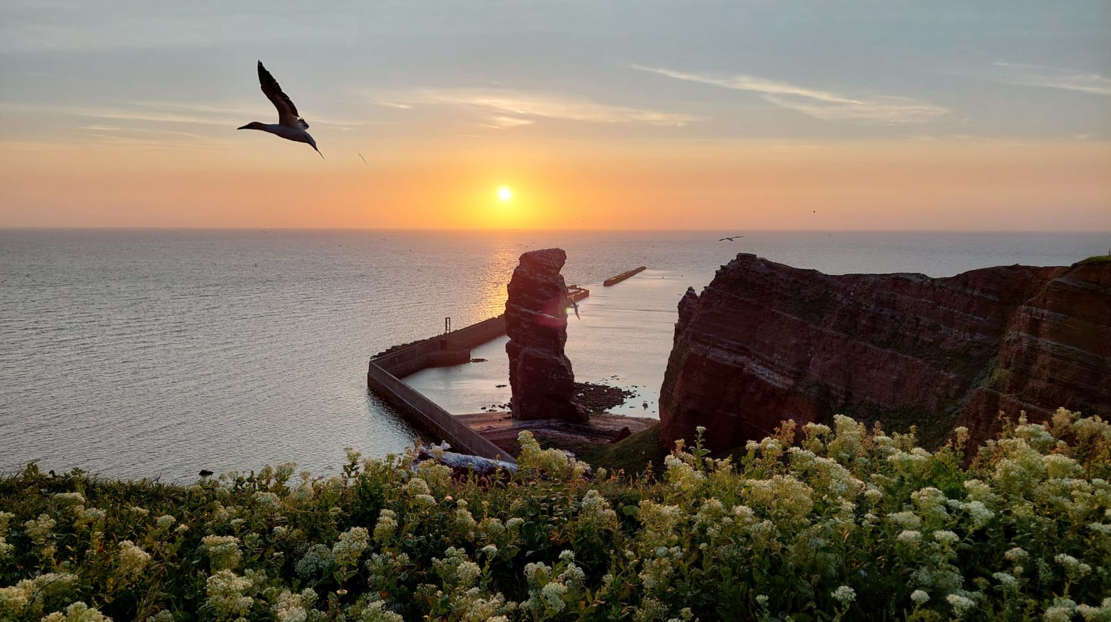 sendetermine/AZ_MEDIA_TV_Firmenseite_Sendetermine_ZDFrep_Helgoland_2025-09-27.jpeg